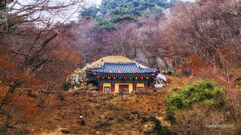  太邱の洞窟寺院、石窟庵！歴史と美しさに包まれた神秘の世界へ