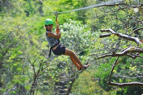   Yeoju Ecological Forest: Experience Lush Nature and Thrilling Ziplines!